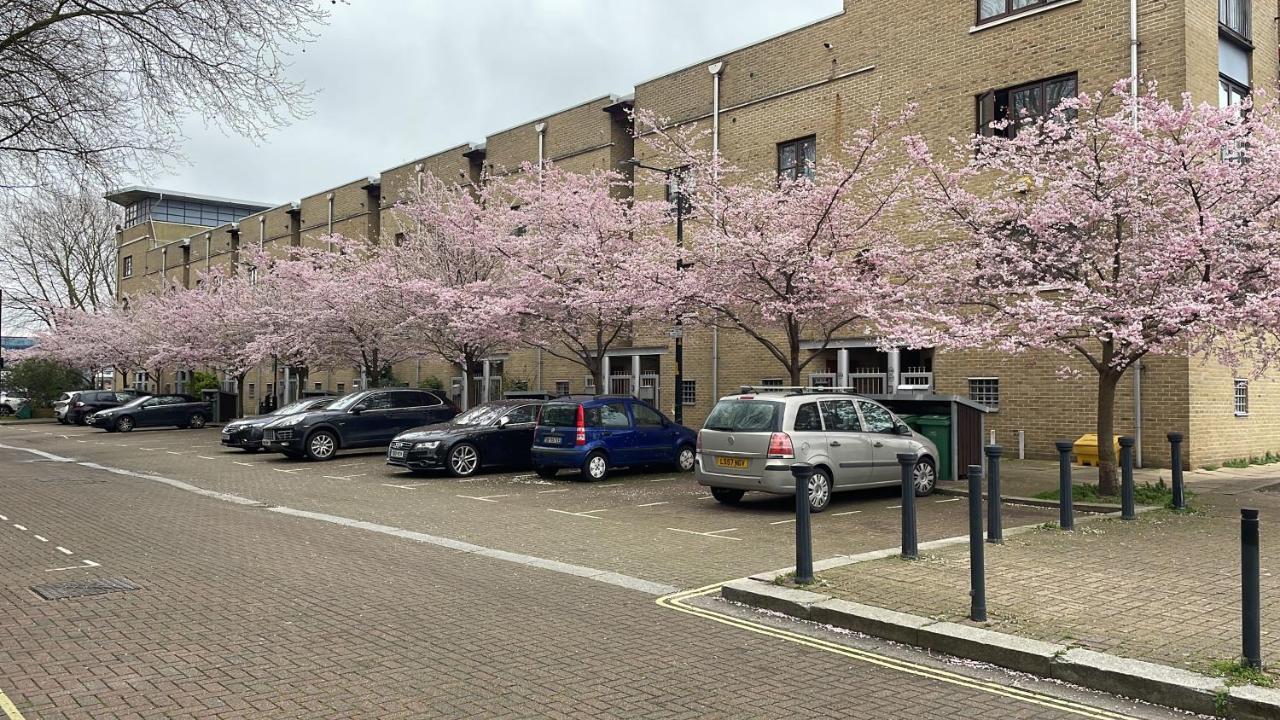 Apartament Plough Way Flat Londyn Zewnętrze zdjęcie